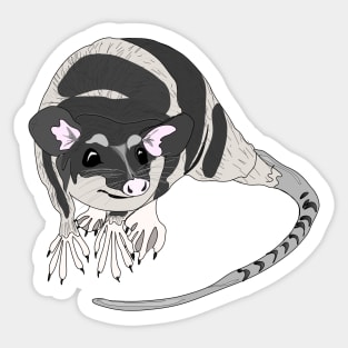 Yapok sarigue aquatic oppossum Sticker